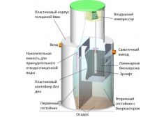Панда Нала 0.6